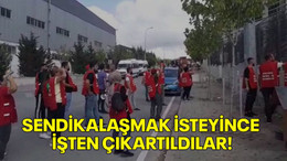 Sendikalaşmak isteyince işten çıkartıldılar